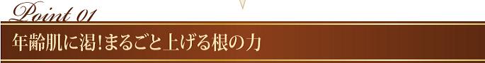 GIMGE RIFT�@�w��